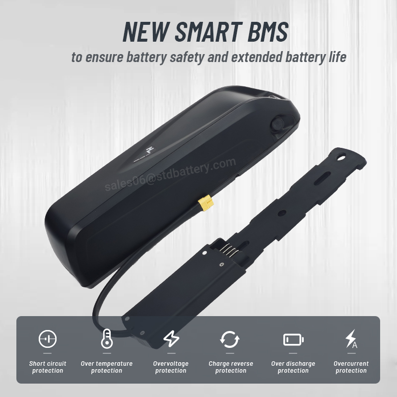 Hailong EBike Battery 36V 48V  - Ebike Battery 48V 20Ah Hailong ulasan dan harga